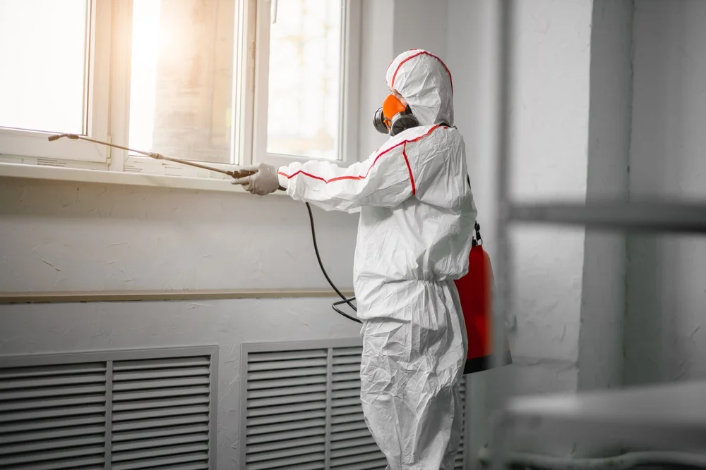 Professional mold remediation services in Bloomingdale, GA